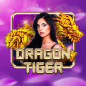 Dragon Tiger live casino game on Jilievo APK